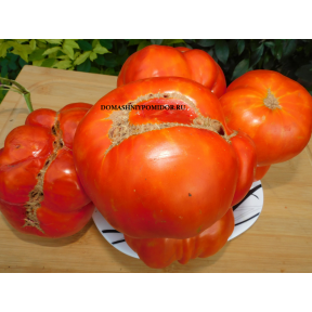 Description of varieties of tomatoes with photos and reviews, alphabetically